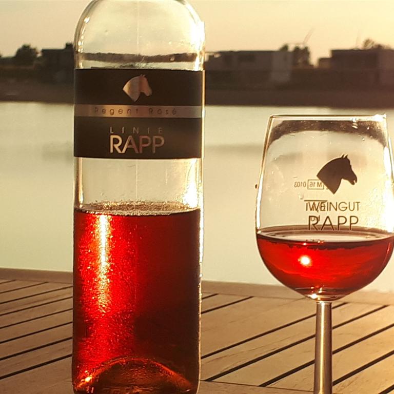 Rose Villagio-Weingut Rapp Dörrenbach